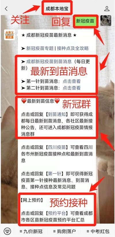 苗原最新爆料蓉城,蓉城风云再起，揭秘蓉城背后惊人真相  第1张